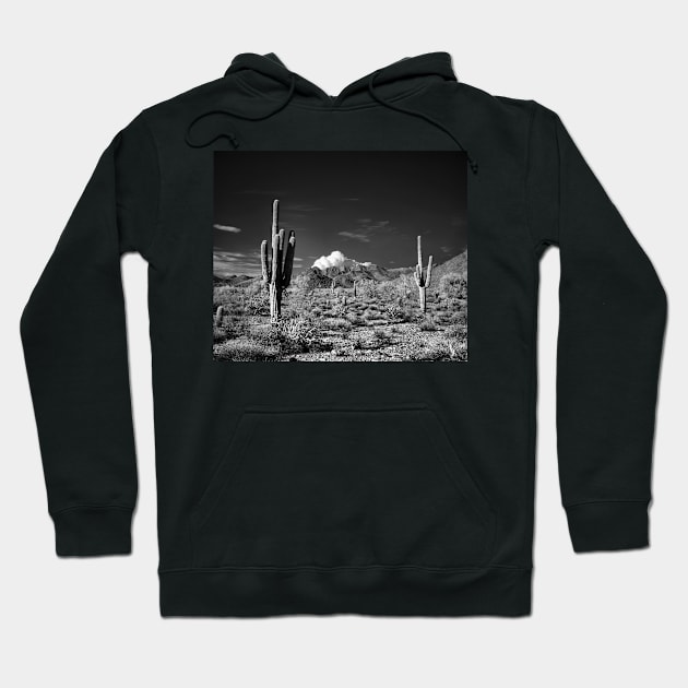 McDowell Sonoran Preserve, Scotsdale Arizona Hoodie by rodneyj46